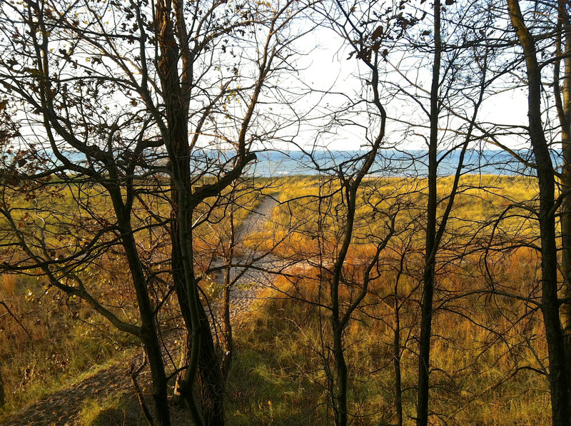 Lake Michigan coming into view from the Cowles Bog Trail.