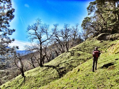 The Clay Hill Trail meanders through enchanting Black Oak Meadow