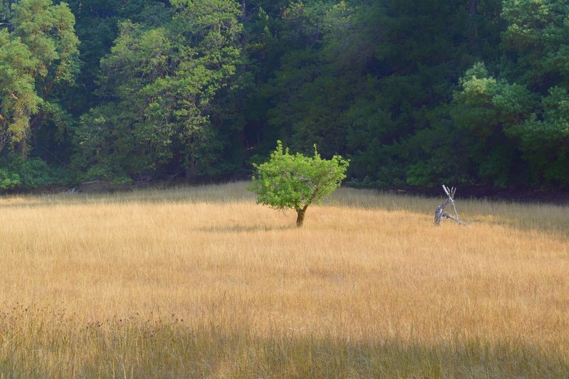 Thomas Homestead was once an native American settlement, and now offers an excellent place to take a short break.