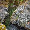 The deep pristine gorges of Mule Creek never cease to amaze.