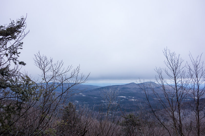 Danny's Lookout allows you to peep through winter tree branches.