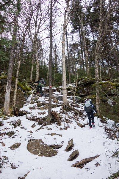 Climbing West Kill Mtn on the Devil's Path Trail.