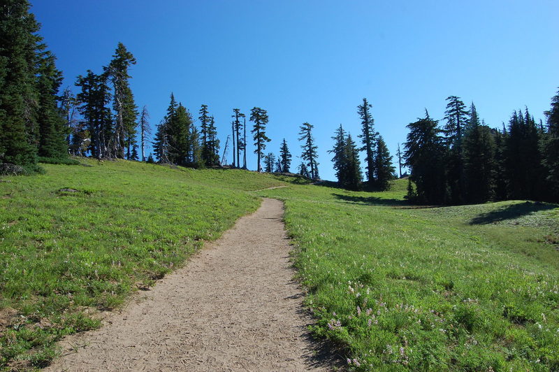 You're not likely to trip in this section of the Garfield Peak Trail.