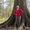 Elizabeth and Cherrybark oak (Quercus pagoda) at Congaree National Park.