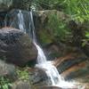 Maxwell Falls tumbles past the rocks on it's way downstream.