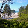 Ruby Beach peeks out of the trees from the short trail.