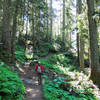 Into the woods and on the way to Cascade Pass.