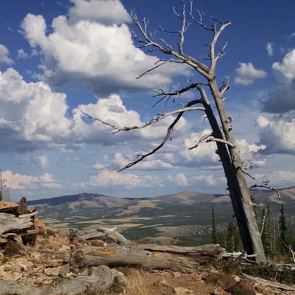 The view from the top on the Bunsen Peak Trail.