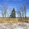 Winter view of the Great Marsh overlook.