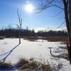 Winter view of the marsh.