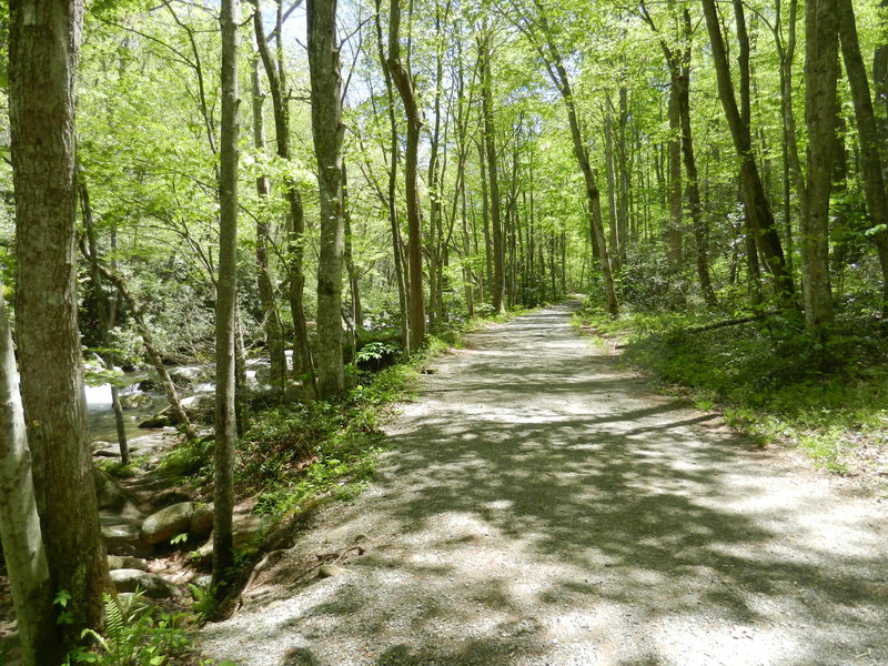 An easy path adjacent to the river.