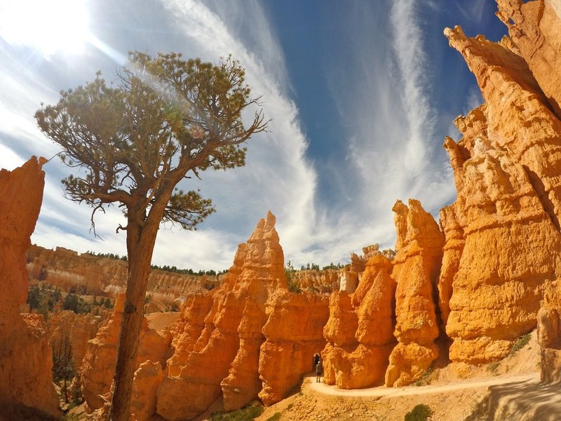 Bryce Canyon Navajo Loop.