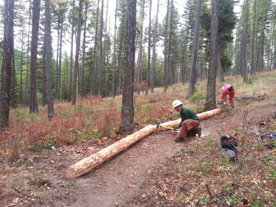 Volunteers creating a banked turn on the new Fenceline Trail.