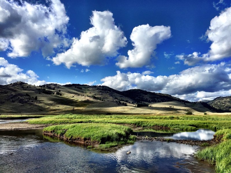 Lower Slough, off trail.