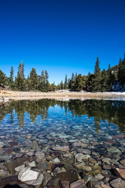 Overlooking Teresa Lake.