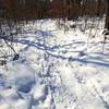 Winter time on the Glenwood Dunes Trail.