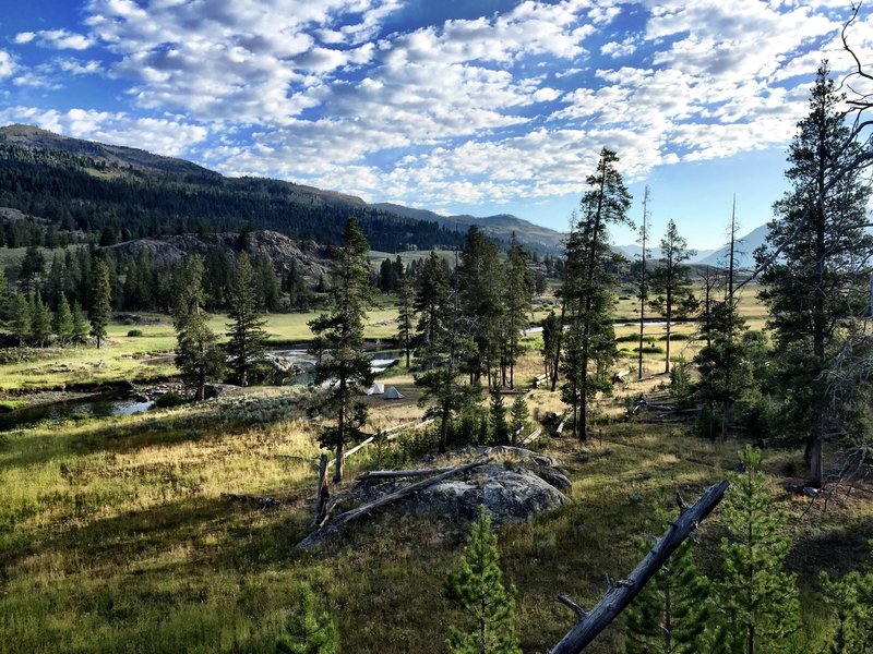 Overlooking 2S1- the best backcountry site on Slough Creek in YNP.