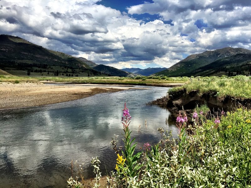 Slough Creek, 2nd Meadow.