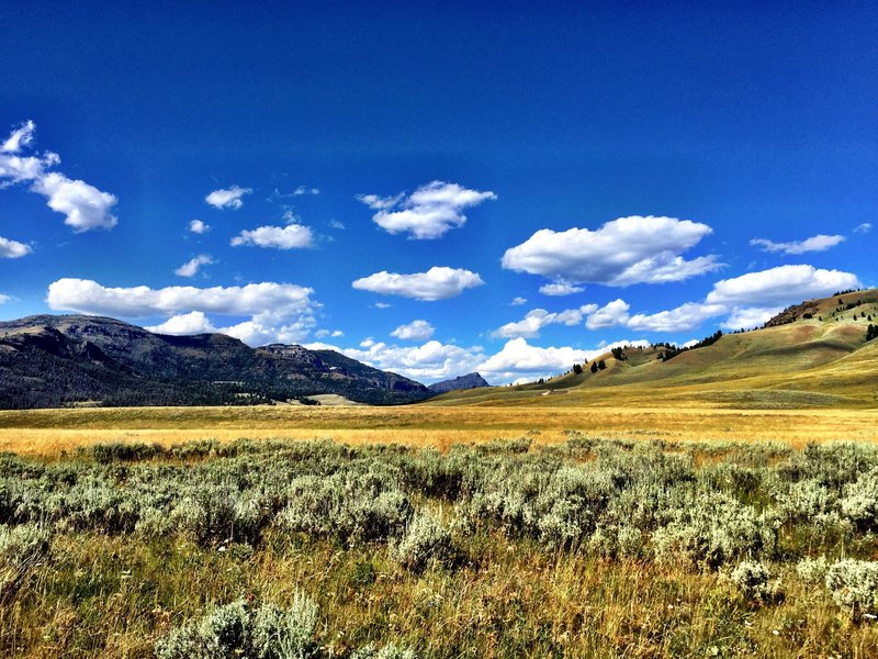 Looking north in the Lamar Valley, Druid Peak on the left.