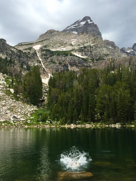 Surprise Lake plunge - Grand Teton rising above. Brrrrr!