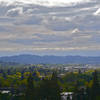 View of clouds and trees from Spencer Butte.