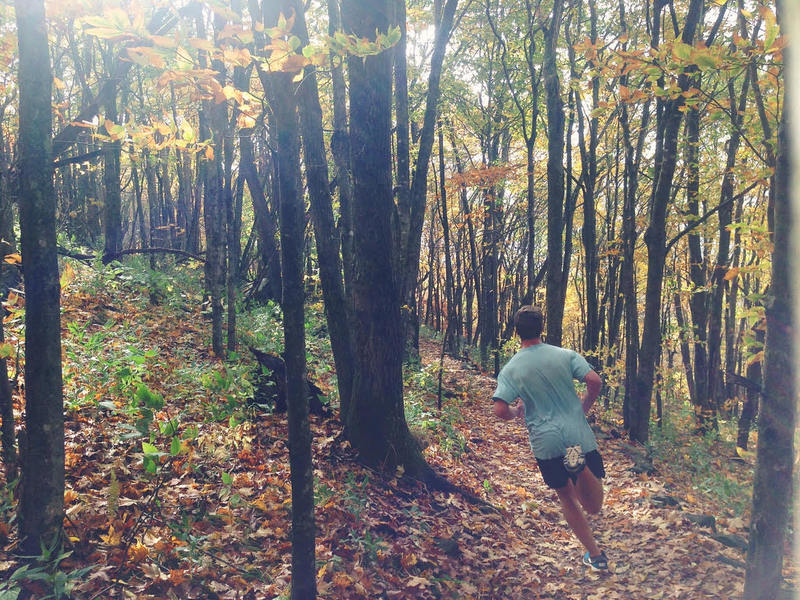 Blasting down the Elk Knob Summit Trail in perfect Fall conditions.