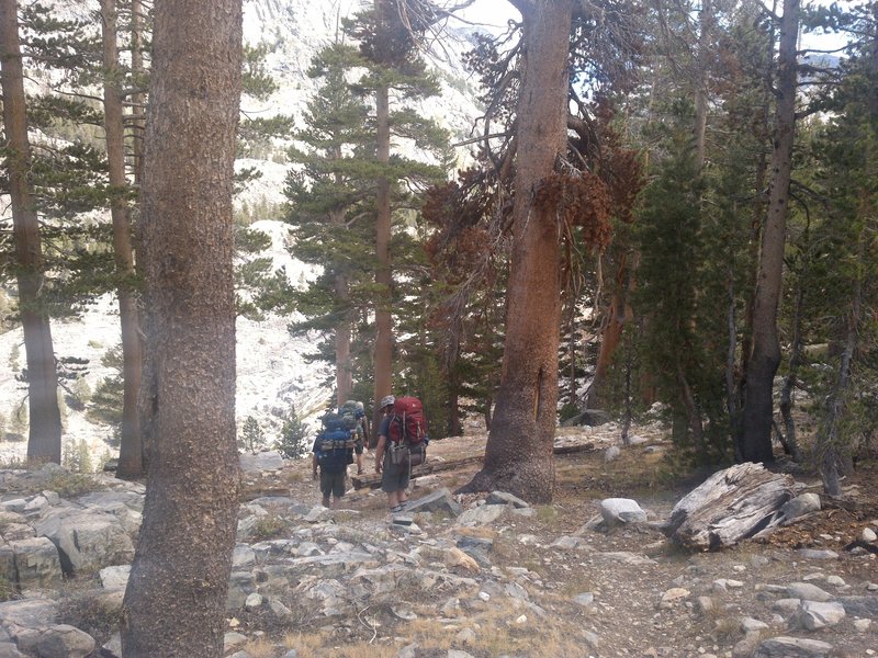 Hiking through the woods.