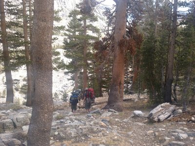 Hiking through the woods.