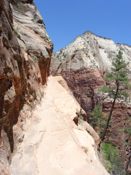 The terrain of the hidden canyon trail.  Narrow, sandy trail with a sheer drop to one side.