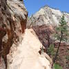 The terrain of the hidden canyon trail.  Narrow, sandy trail with a sheer drop to one side.