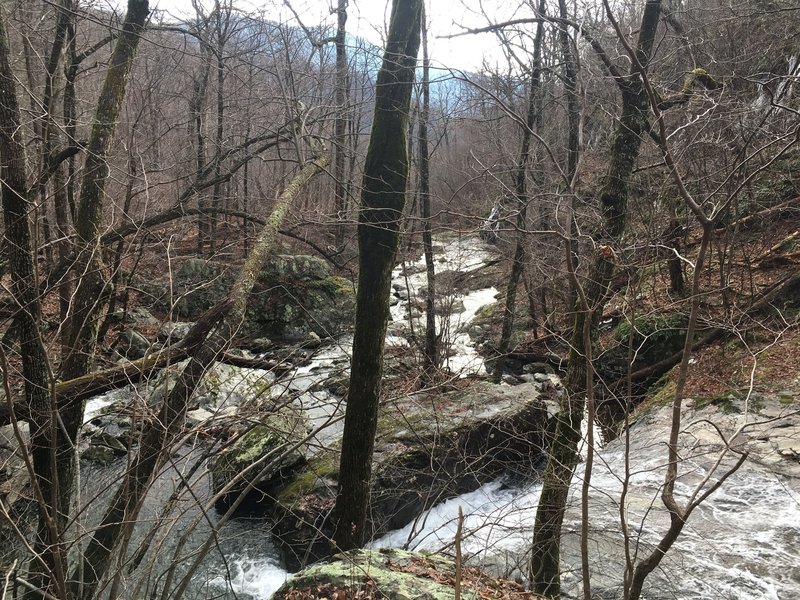 Whiteoak Canyon Falls.