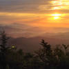 Morning glory on the Black Mountain Crest Trail.