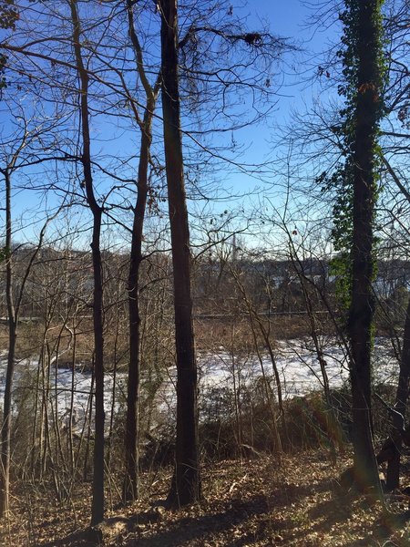 Winter on the Upland Trail.