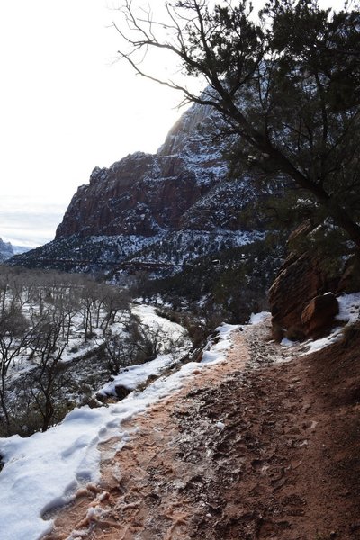 Winter view from the Emerald Pools trail.