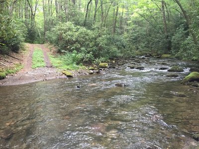 Bone Valley Trail crossing Bone Valley Branch near junction with Hazel Creek Trail