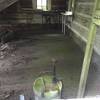 High Rocks firetower caretaker's cabin - interior (shot through window - unsafe to enter).