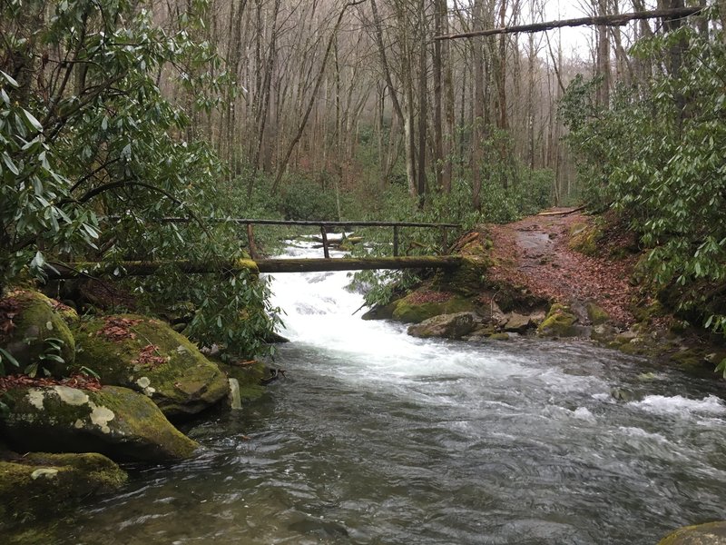 Log bridge crossing the Oconaluftee River on the Kephart Prong Trail. All river crossings on this trail are like this except for the initial river crossing, which is a large bridge.