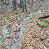 Water running down the trail after a day of rain in the GSMNP.