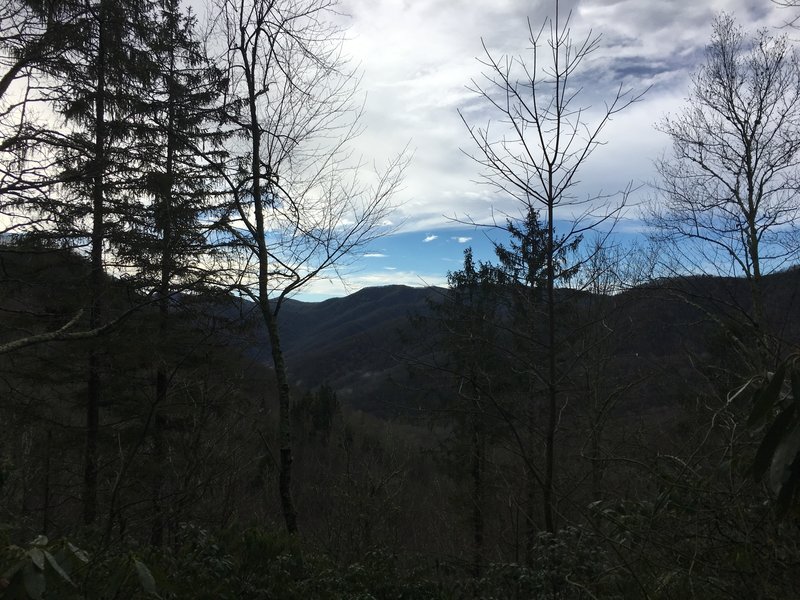 Surrounding peaks hiding in the trees as you make your way up the trail.