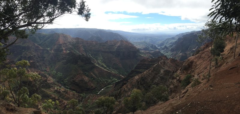 Fine view from the Canyon Trail into Waimea Canyon.