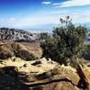 Keys View - Joshua Tree National Park