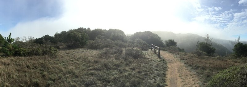 N. Ridge Trail, Angel Island.