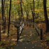 Fall colors on the Calumet Dunes Paved Trail.