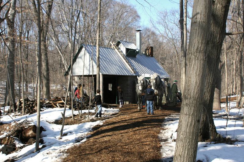 Maple Sugar Shack at Chellberg Farm