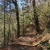 Laurel Falls Trail once you are past the falls.   Not a lot of people, quiet hike.