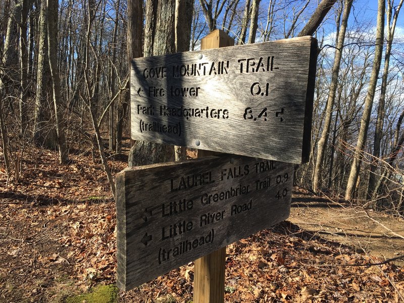 Cove Mountain Trail intersection.  .1 miles to the Fire Tower at the top of Cove Mountain.