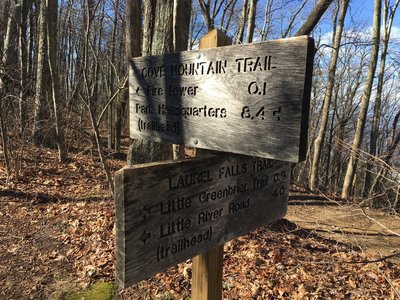 Cove Mountain Trail intersection.  .1 miles to the Fire Tower at the top of Cove Mountain.
