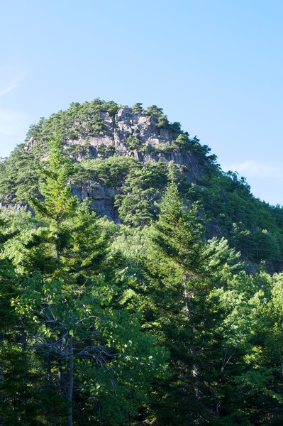 View of the Beehive.