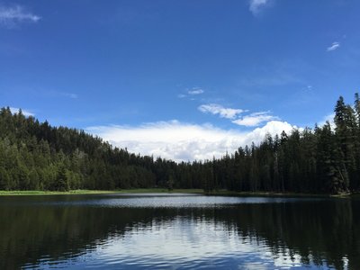 View of Lukens Lake from the far side of the lake.