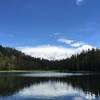 View of Lukens Lake from the far side of the lake.